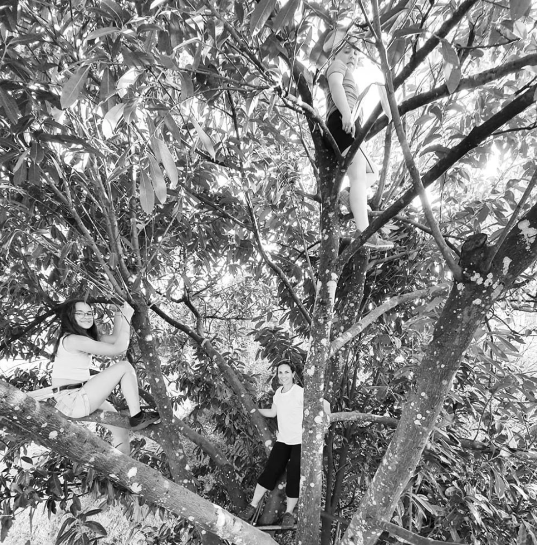 cabane dans les arbres