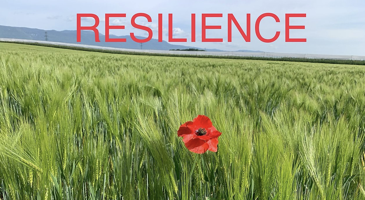 10 questions pour tester votre résilience
