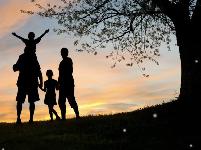 coaching familial